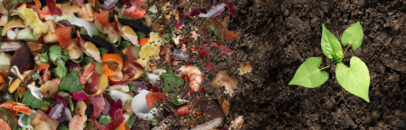 Composting basics - Flourish Planet