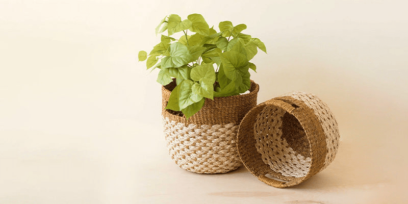 Earth Month - Flourish Planet