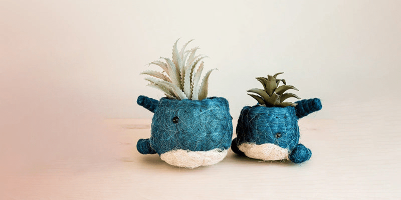 Mother’s Day Gifts for Every Kind of Mom - Flourish Planet