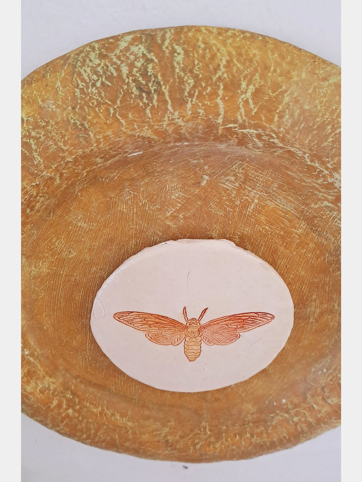 Moth Wall Décor Aranya Earthcraft