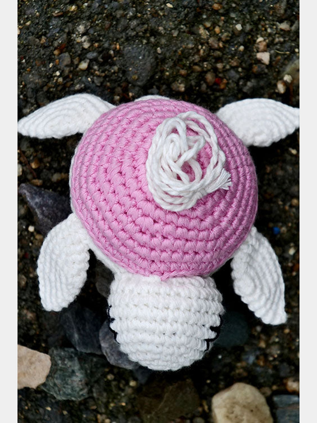 Turtle Pink White Black