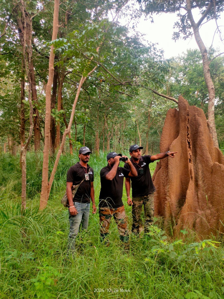 $500 Conservation Gift - Wildlife Workshops & Research Tools