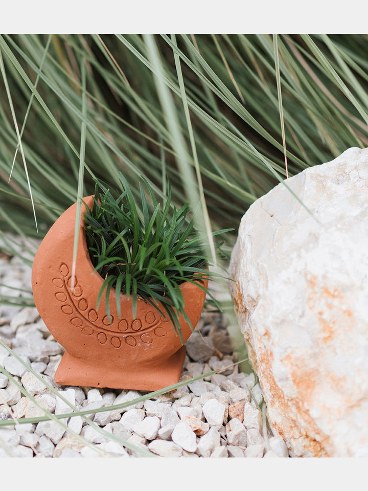 Rakshana Cresecent Moon Plant Pot - Terracotta Matr Boomie