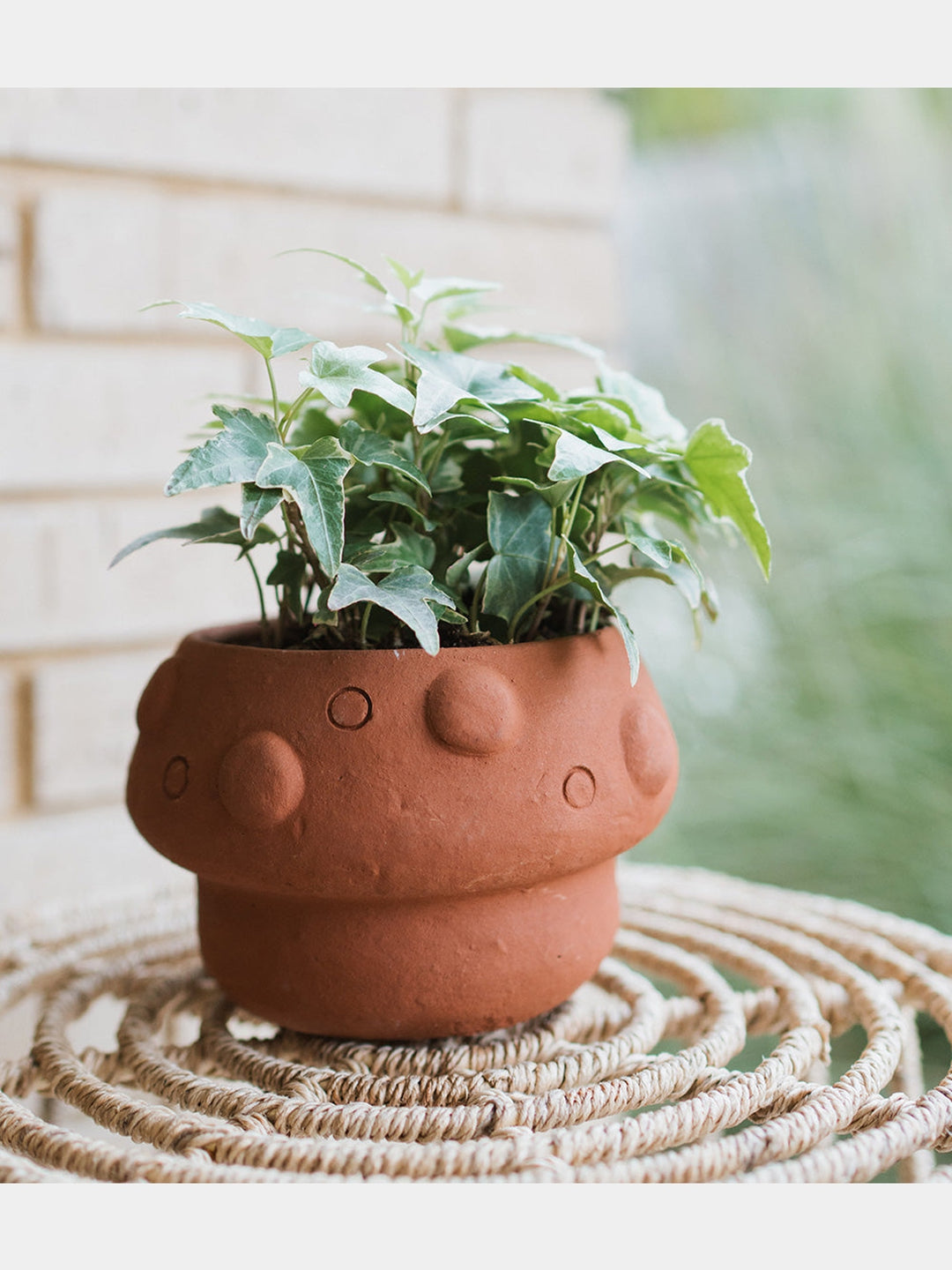 Rakshana Mushroom Plant Pot - Terracotta Matr Boomie