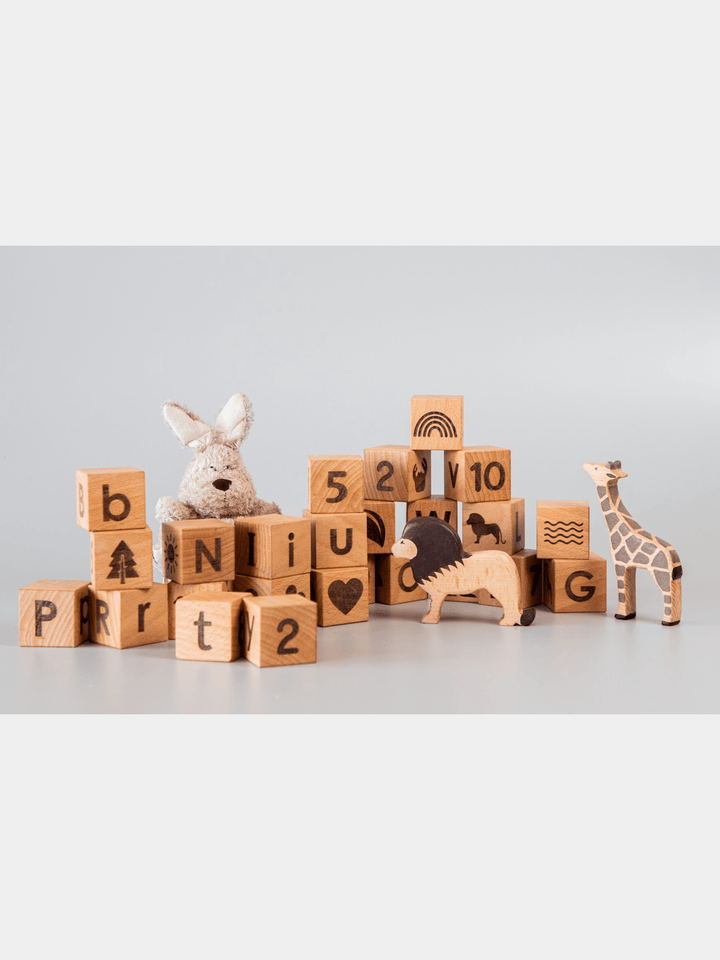 Birch Learning Blocks