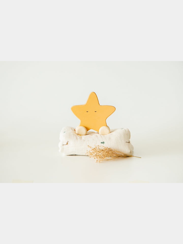 Birch Star Roller Toy