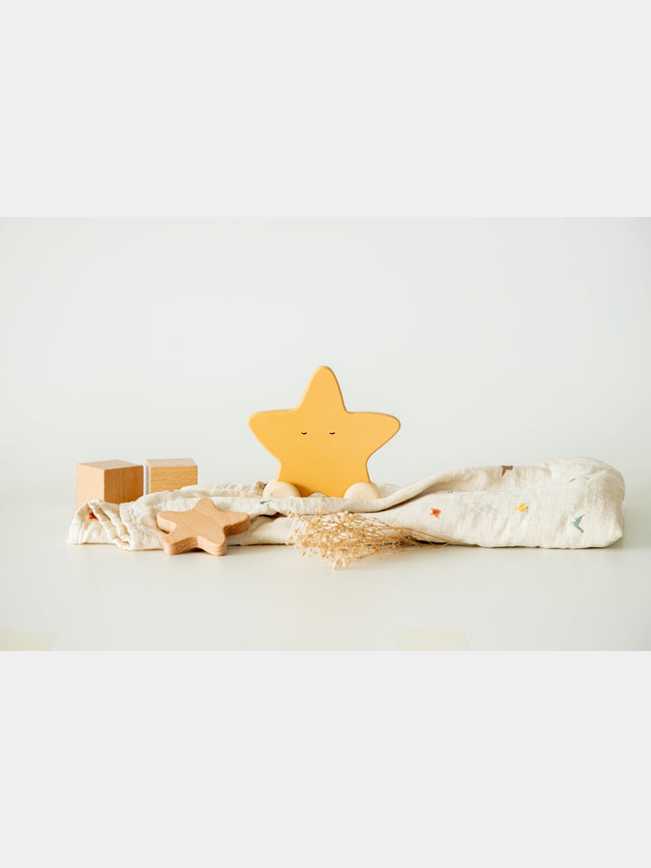 Birch Star Roller Toy