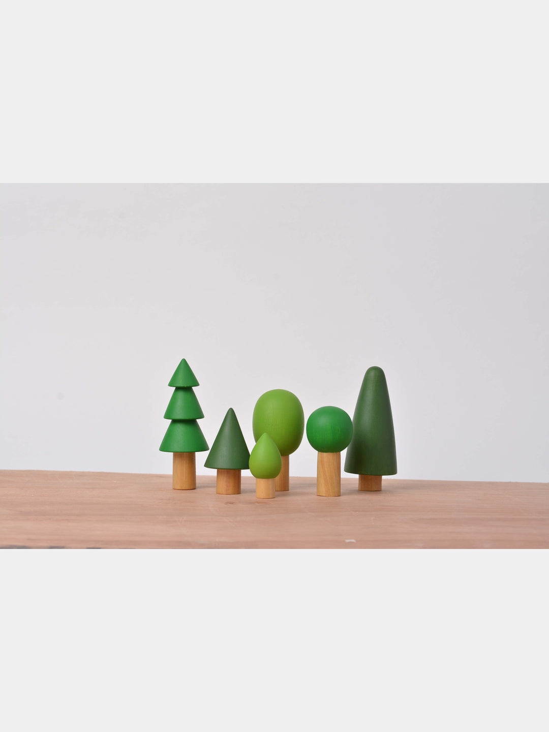 Natural Birch Folk in Evergreen Forest