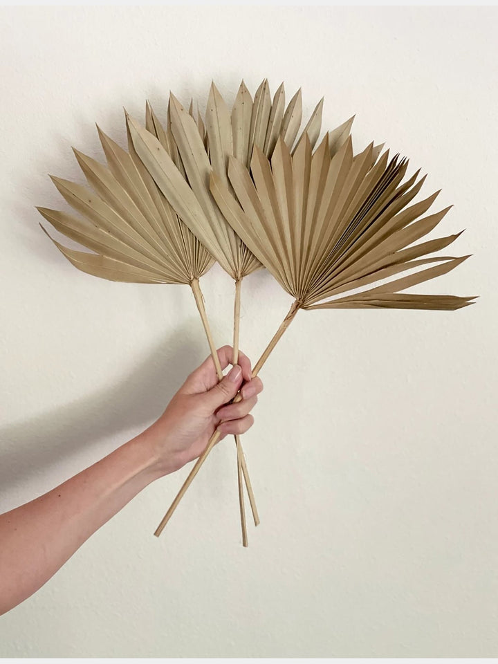 Natural Palm Leaf 15 | Set of 10