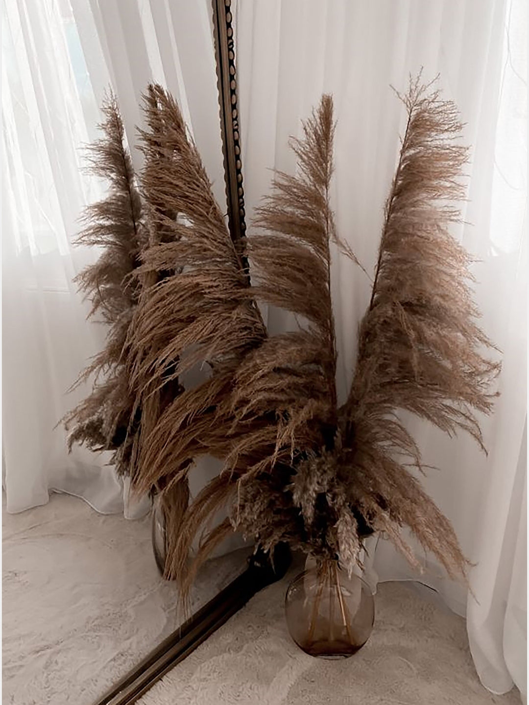 Bend Head Natural Pampas Grass,4ft Dry Reeds Plumes Vanchai