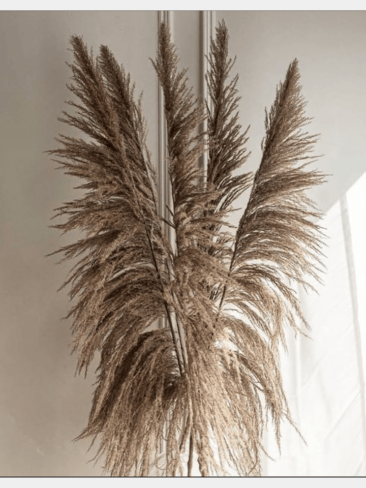 Bend Head Natural Pampas Grass,4ft Dry Reeds Plumes Vanchai