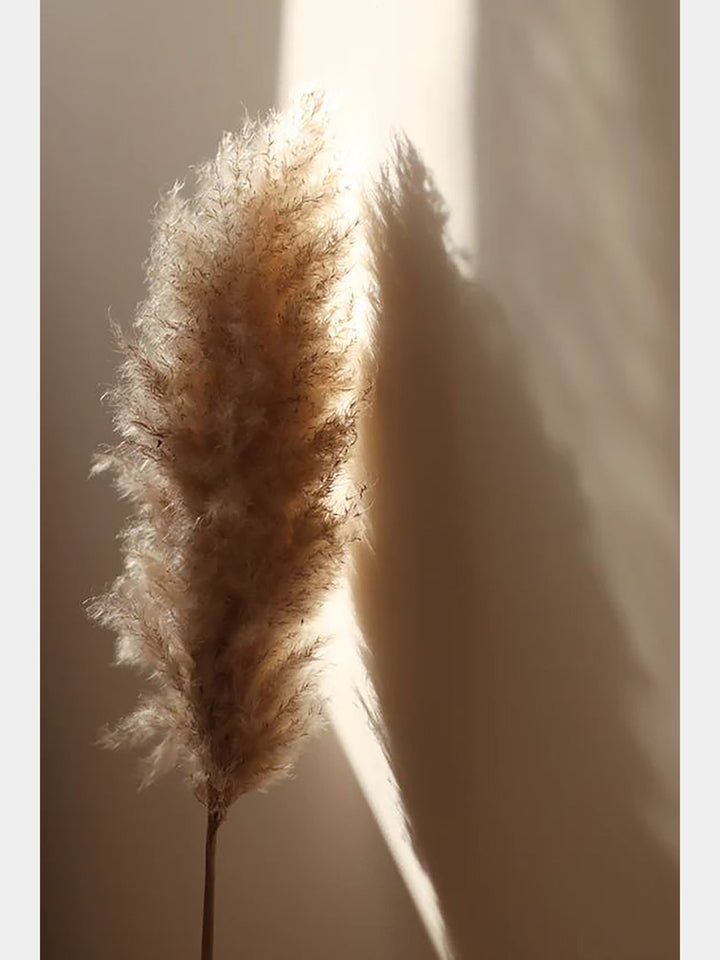 Fluffy Pampas Grass | 55cm Natural Colour | 10 Stems | Dried Flowers