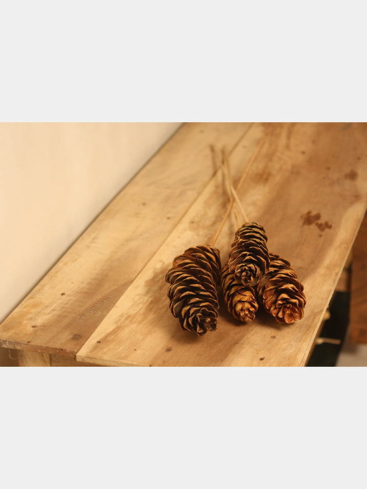 Natural Pine Cones Tall- 27'' | Set of 4