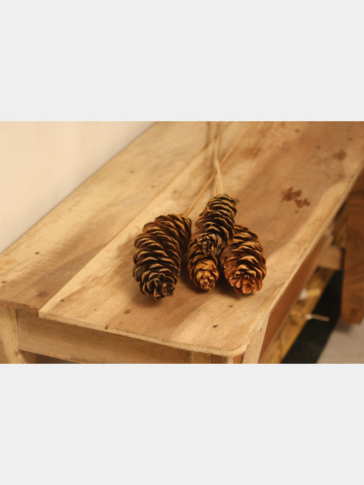 Natural Pine Cones Tall- 27'' | Set of 4