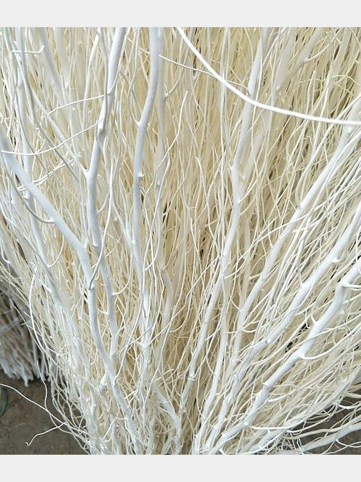 35 Long Real White Curly Willow Decor Dried Willow| 5 Stems,Stick