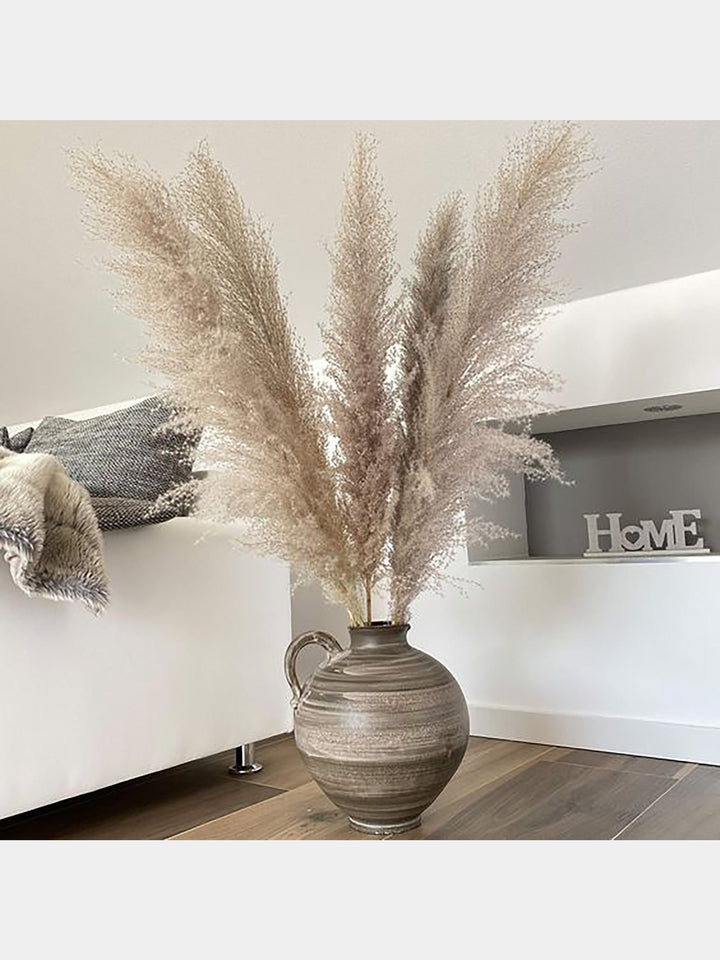 Grey Pampas Grass Stems, Tall Pampas Grass | Dry Flora