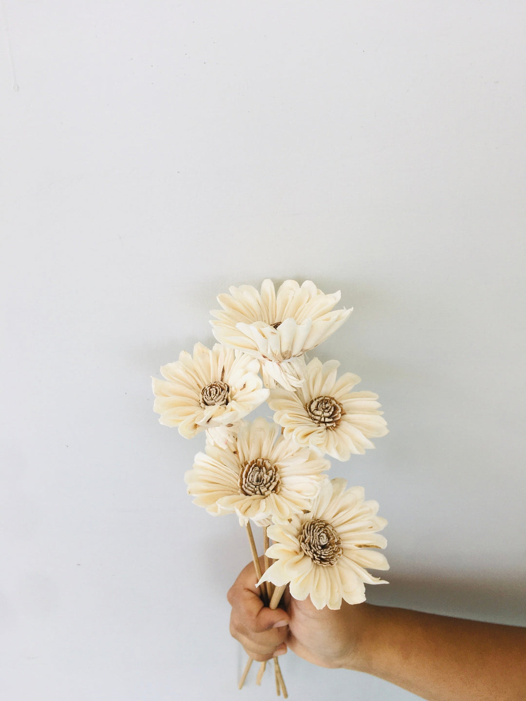 Sunflower Sola Flower | 5pcs