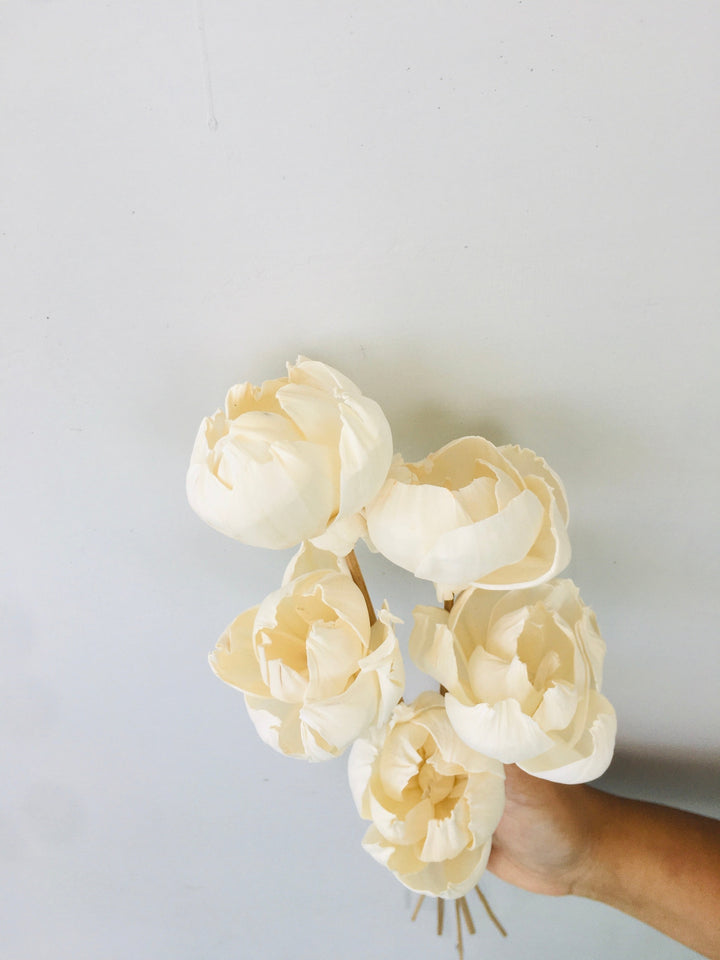 Tree Peony Sola Flower | 5pcs