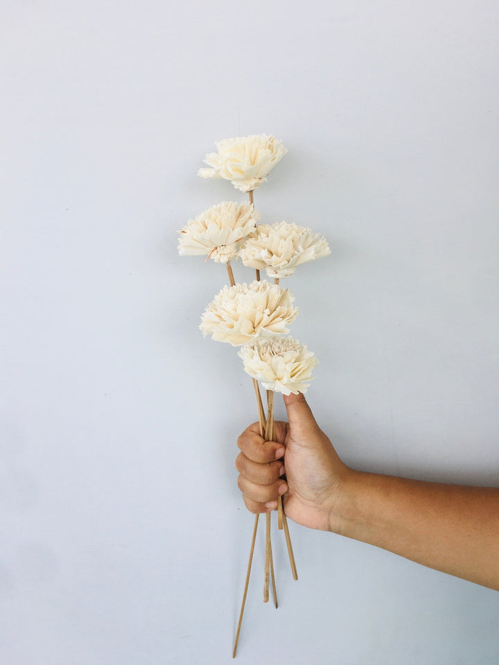 Carnation Sola Flower | 5pcs