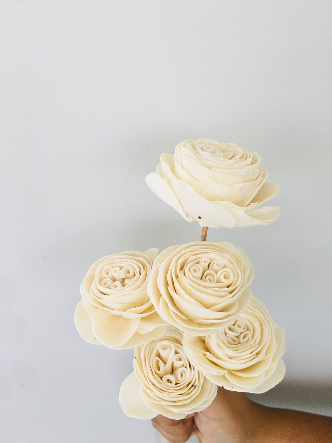 Twist Roses Sola Flower | 5pcs