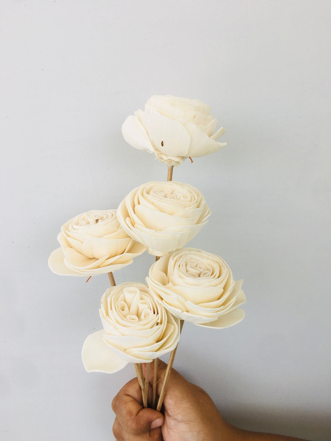 Twist Roses Sola Flower | 5pcs Vanchai