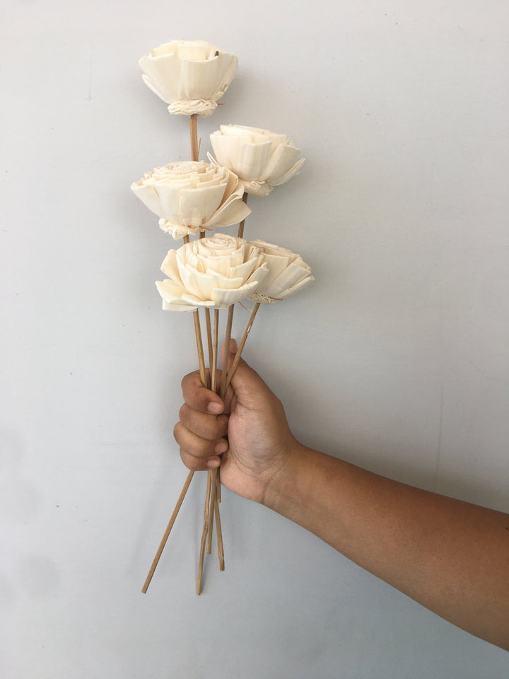 Bourbon Rose Sola Flower | 5pcs Vanchai