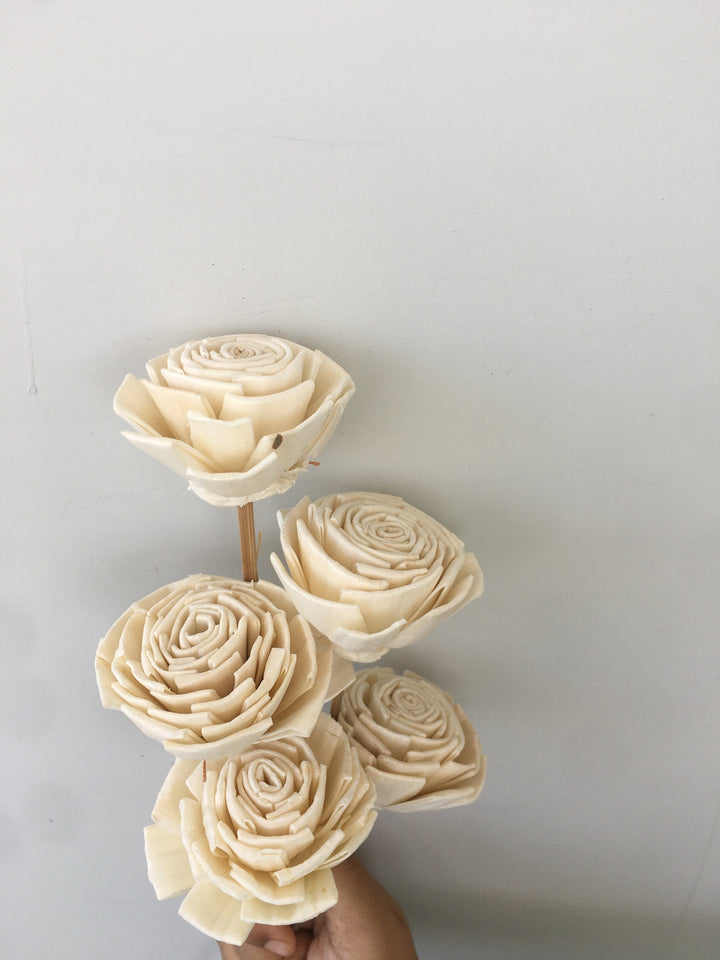 Bourbon Rose Sola Flower | 5pcs Vanchai