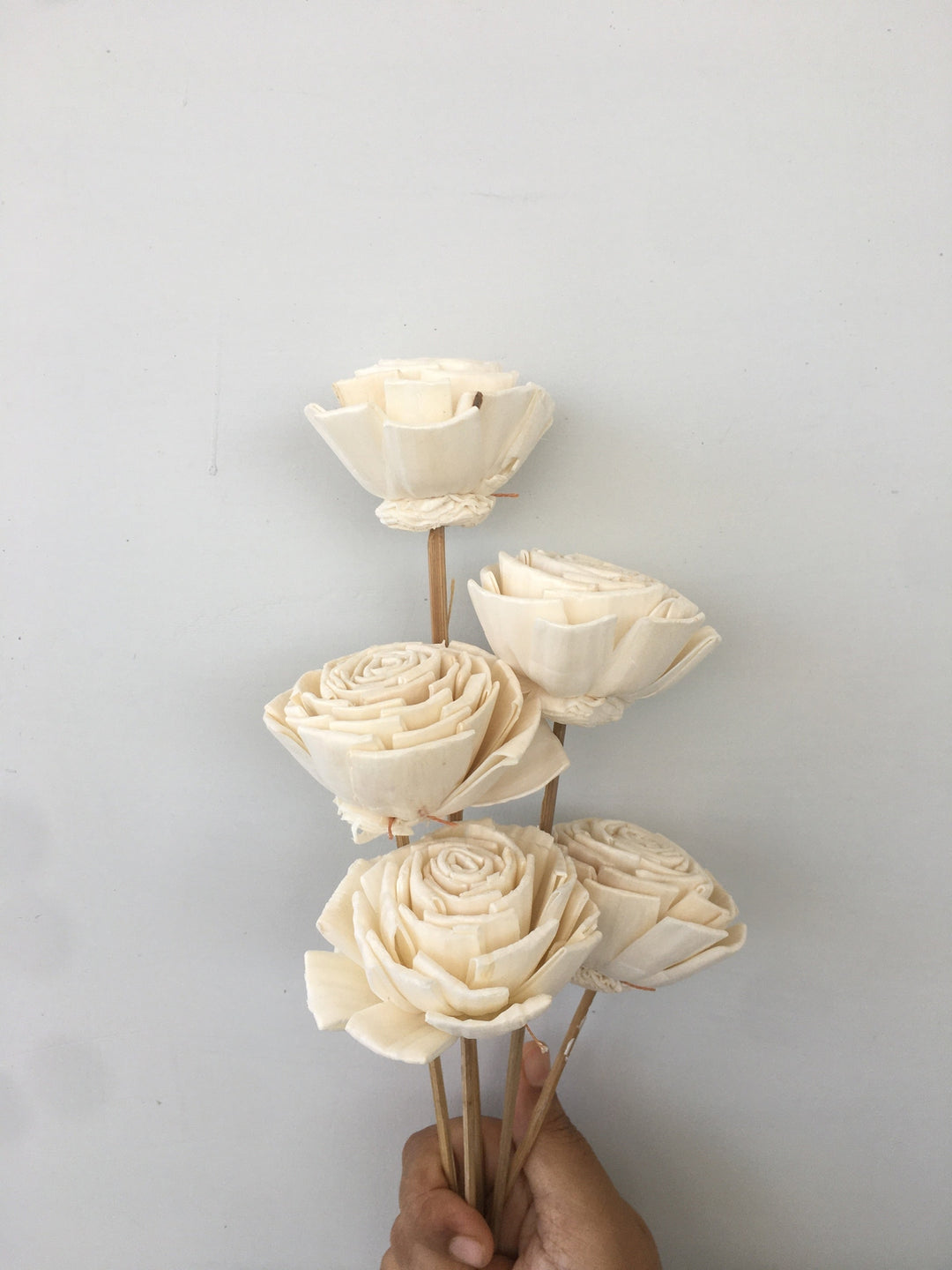 Bourbon Rose Sola Flower | 5pcs Vanchai