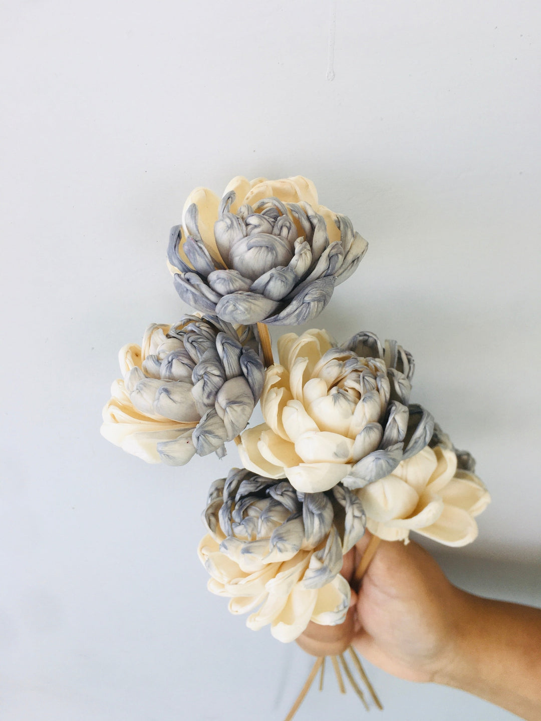 Grey Owl Sola Flower | 5pcs