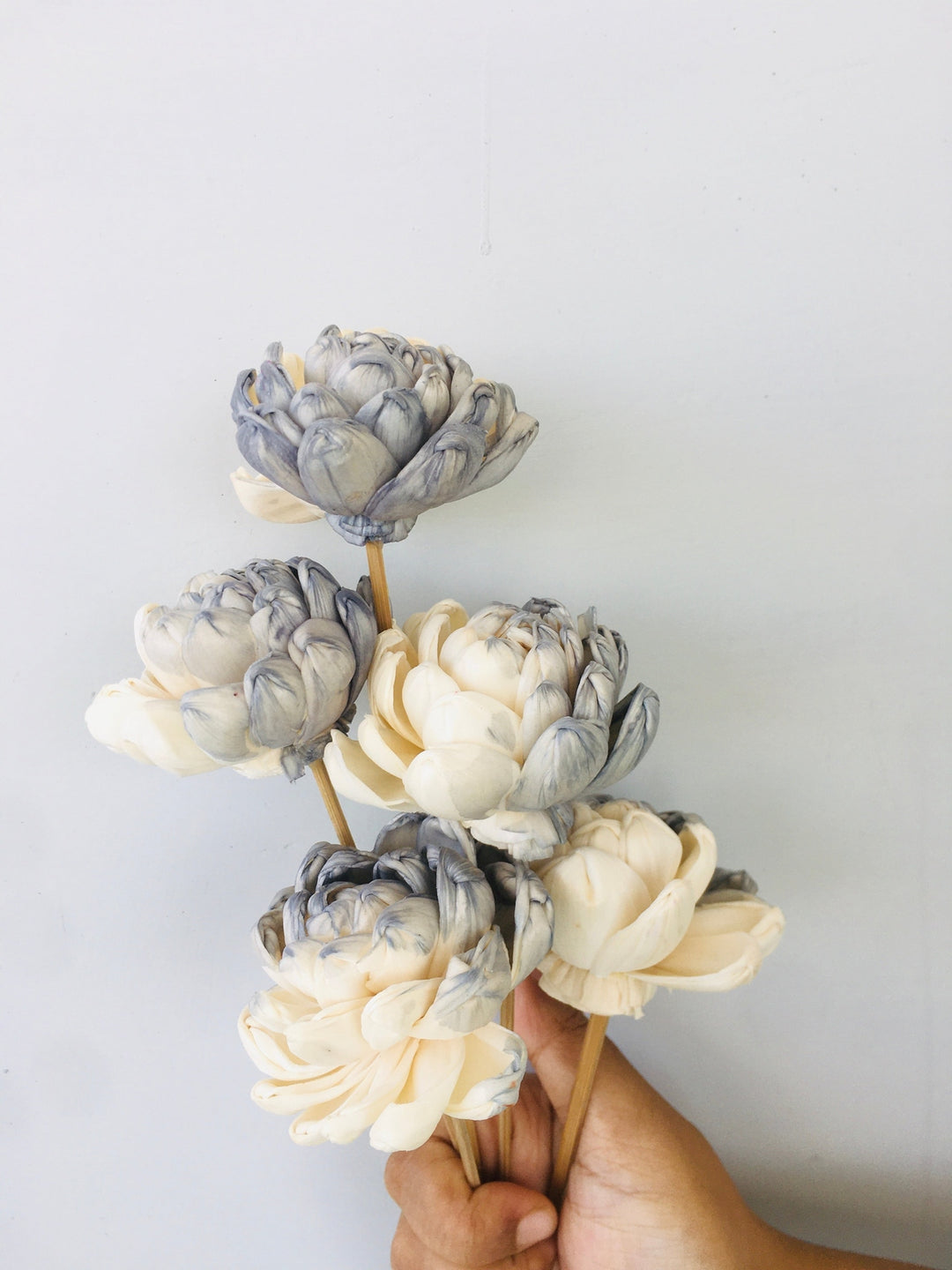 Grey Owl Sola Flower | 5pcs Vanchai