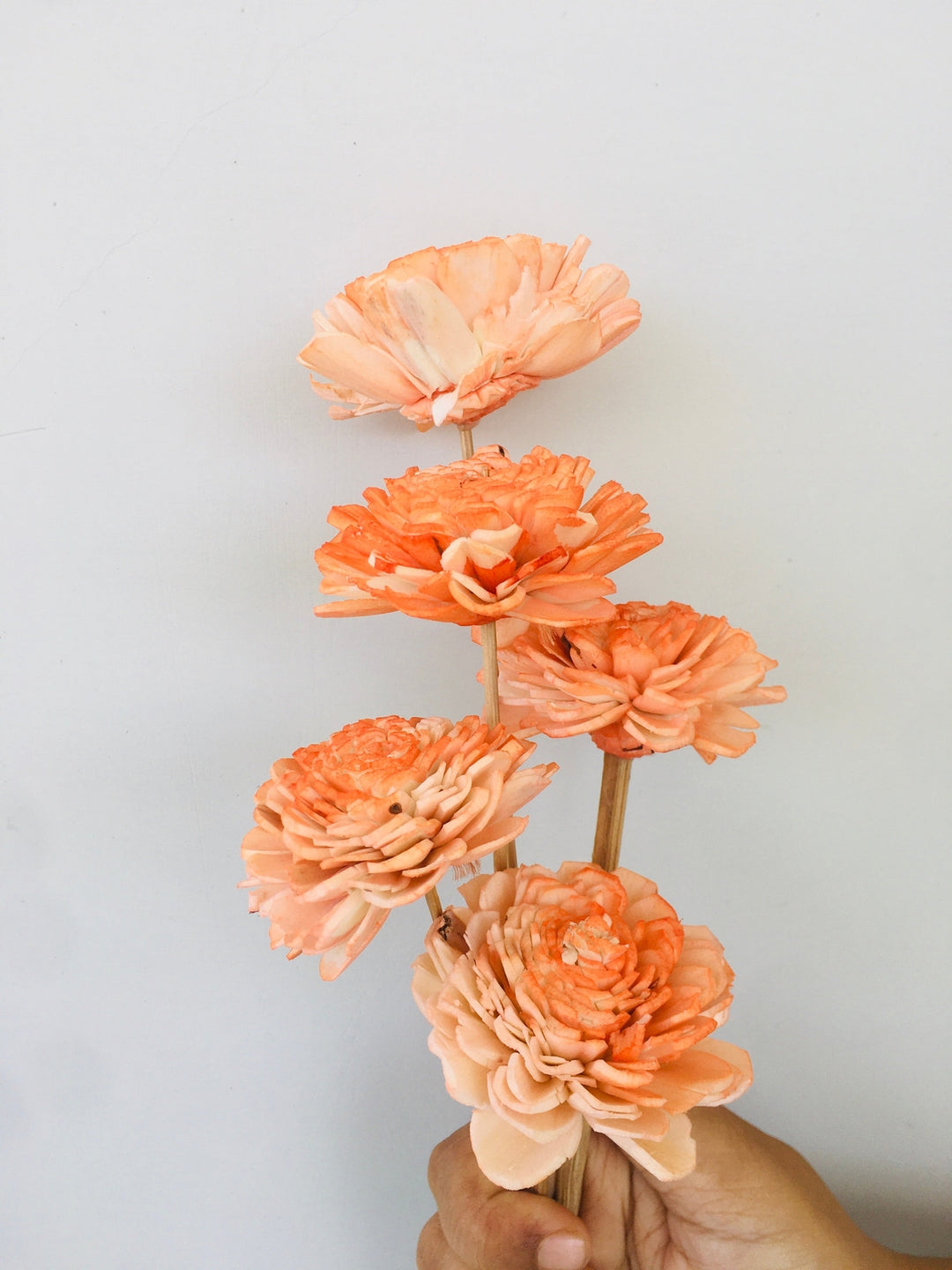 Ombre Sola Flower | 5pcs