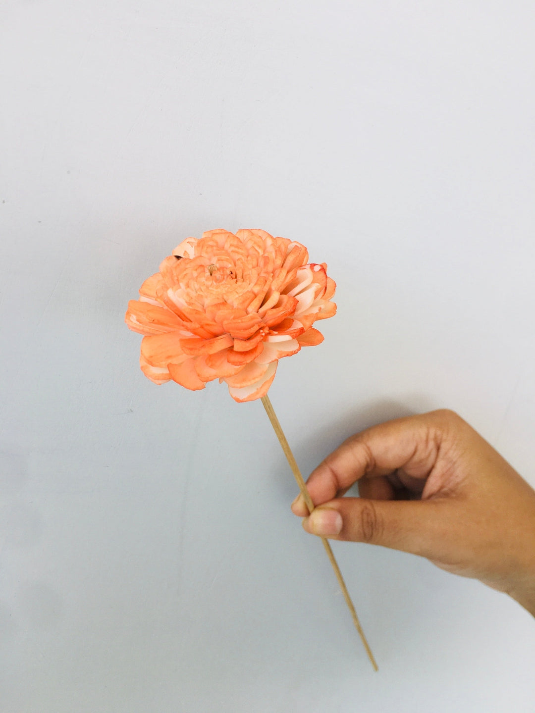 Ombre Sola Flower | 5pcs