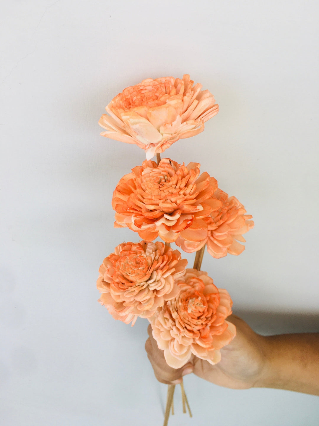 Ombre Sola Flower | 5pcs