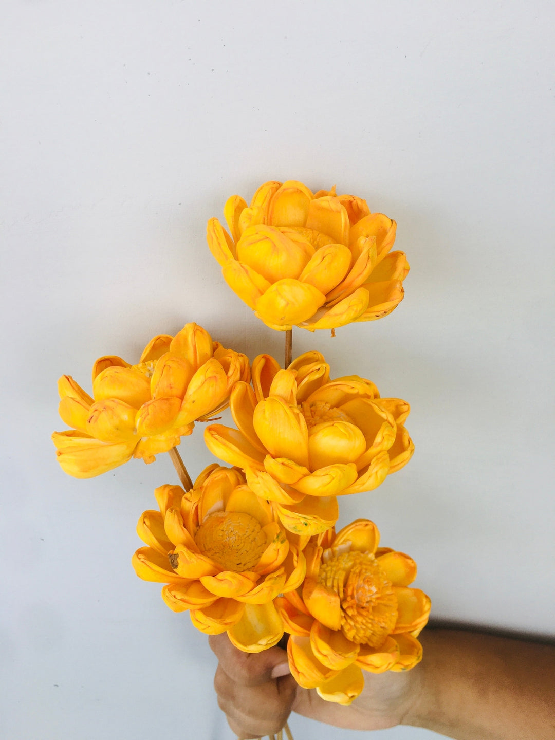 Marigold Yellow Sola Flower | 5pcs