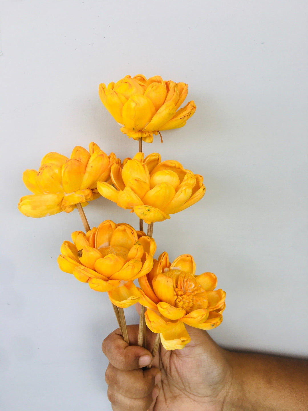 Marigold Yellow Sola Flower | 5pcs