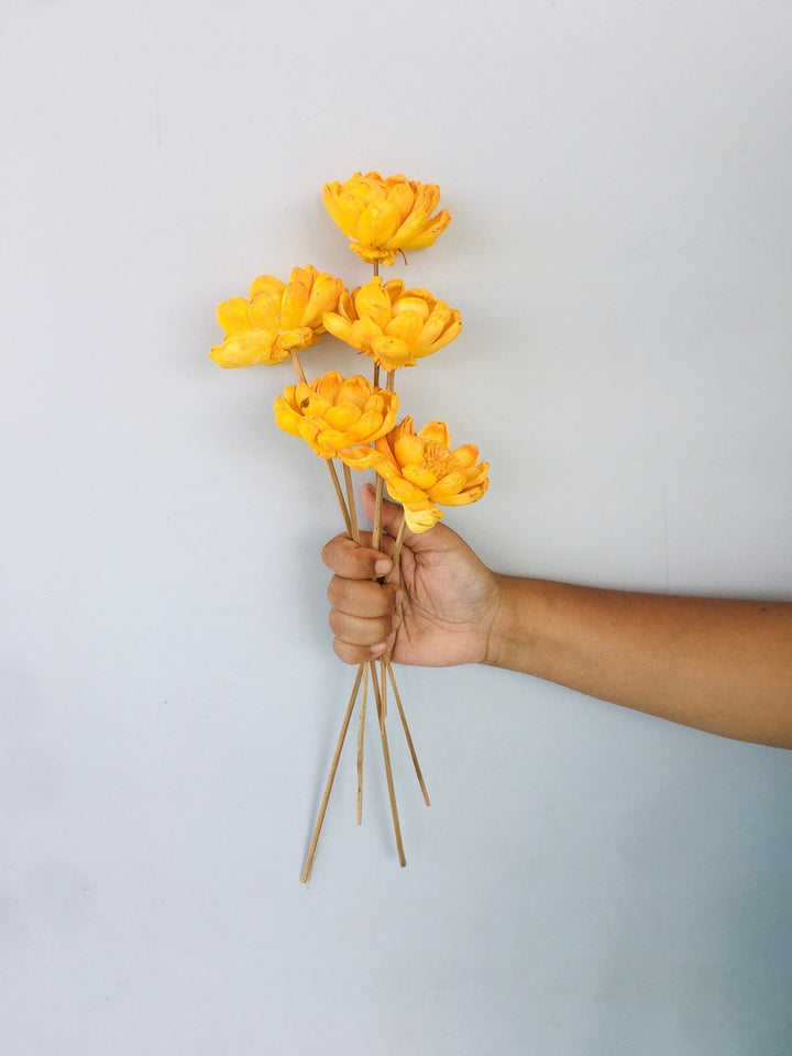 Marigold Yellow Sola Flower | 5pcs Vanchai