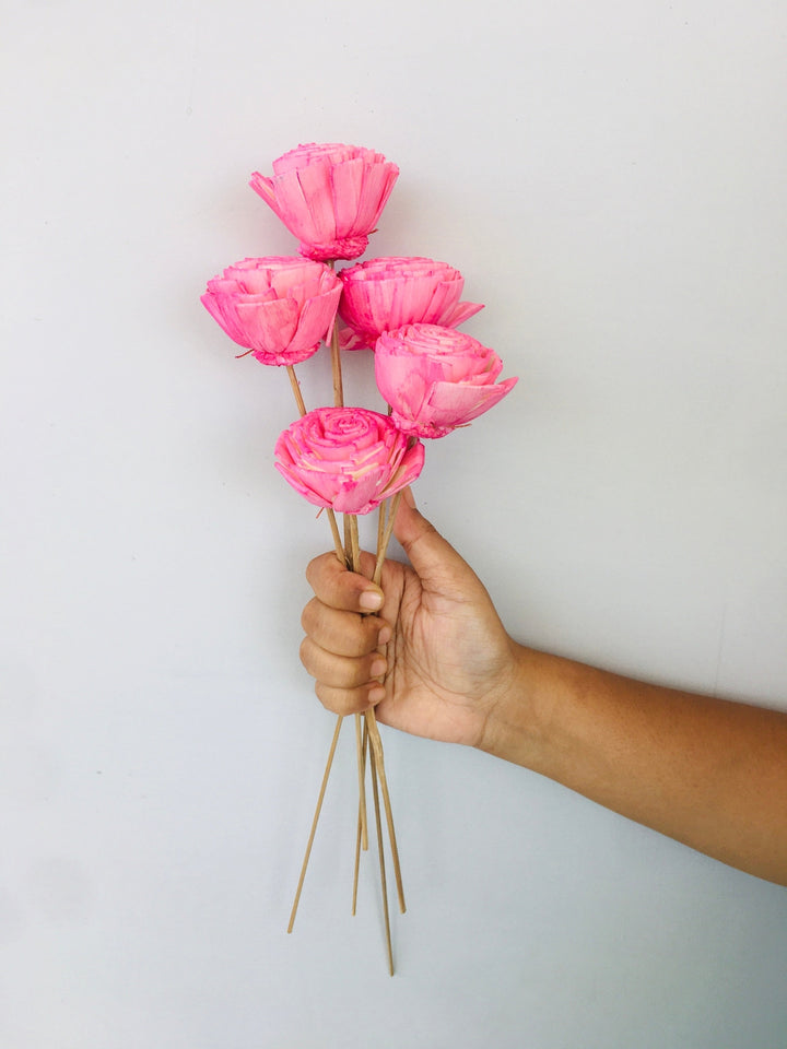 Damask Pink Sola Flower | 5pcs Vanchai