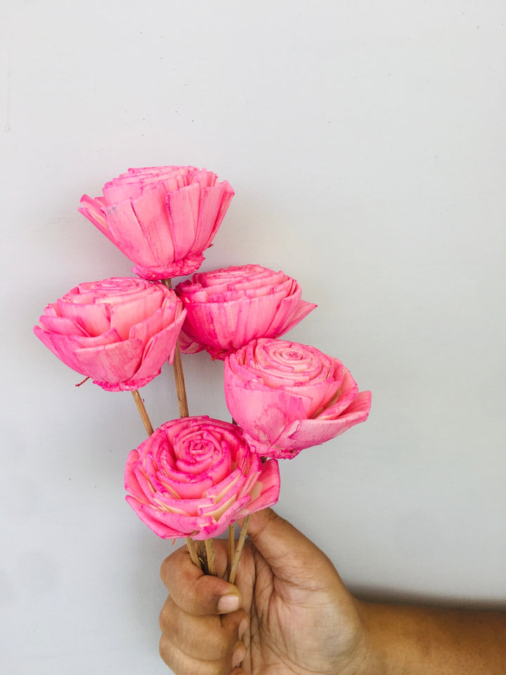 Damask Pink Sola Flower | 5pcs