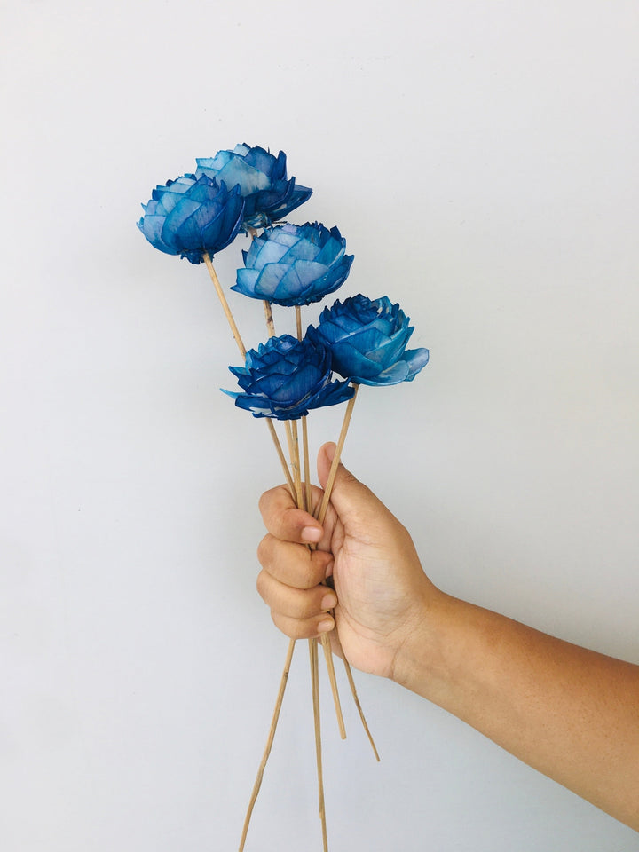 Ombre Sola Flower | 5pcs Vanchai