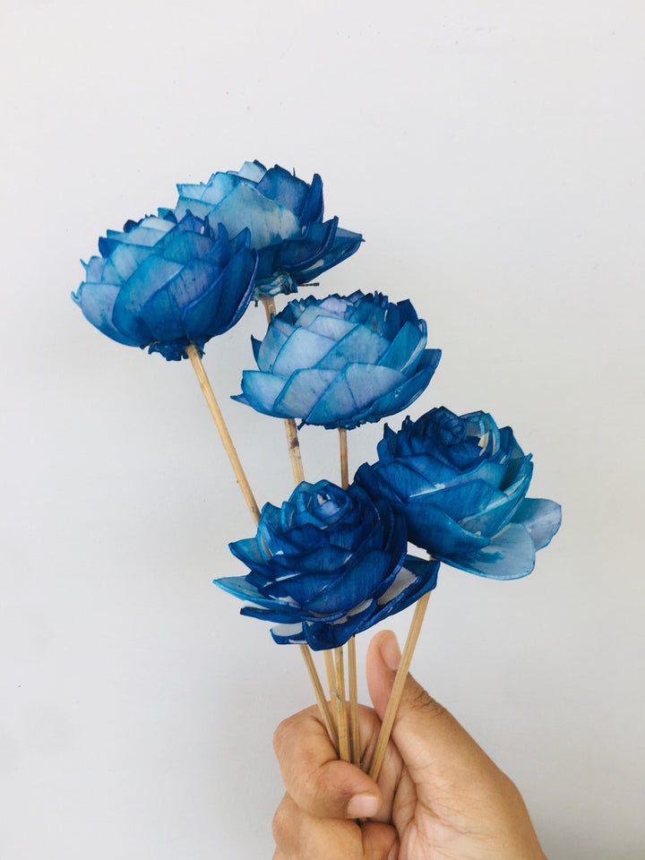 Ombre Sola Flower | 5pcs