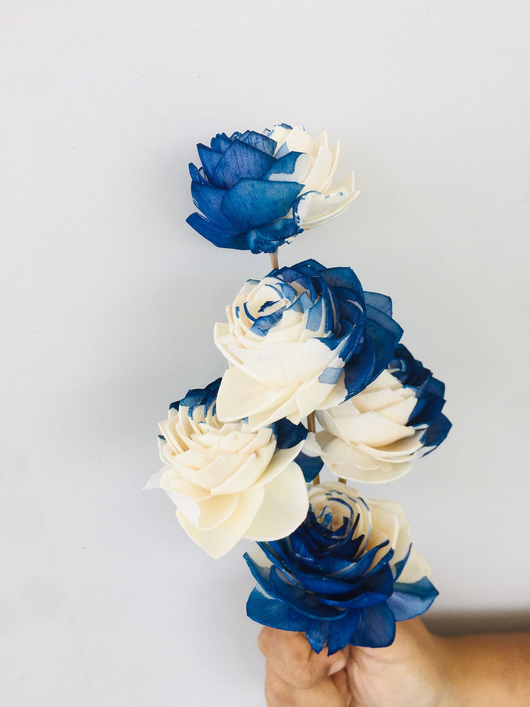 Midnight Blue Sola Flower | 5pcs Vanchai