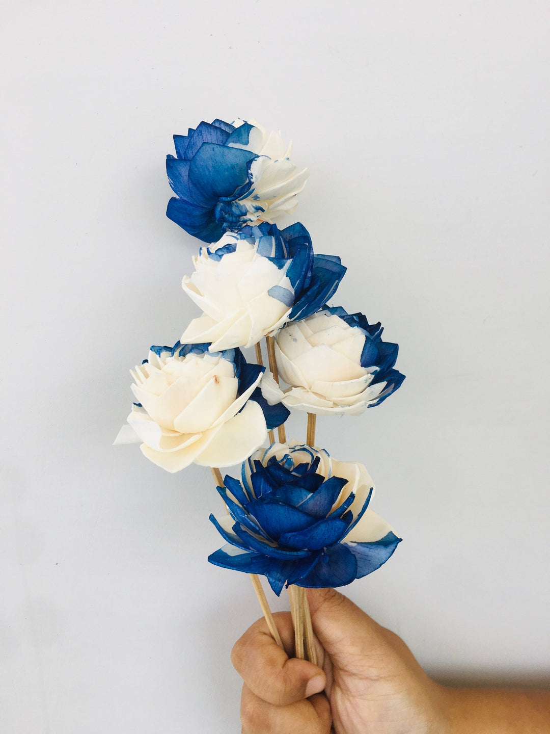 Midnight Blue Sola Flower | 5pcs