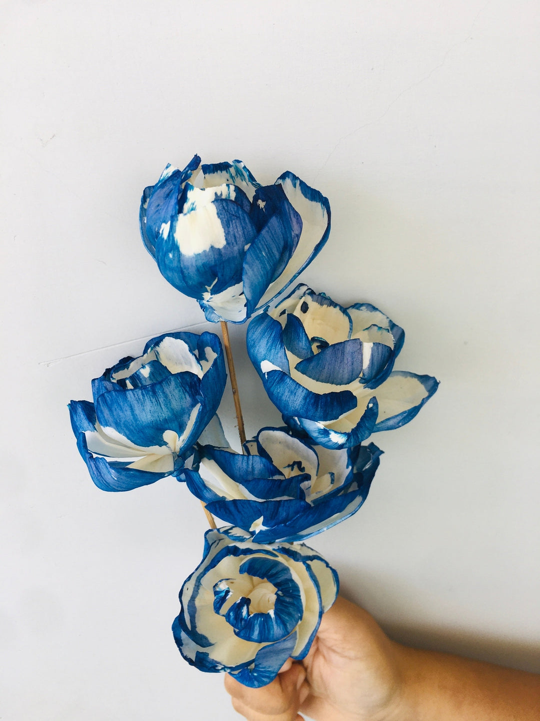 Indigo Peony Sola Flower | 5pcs Vanchai