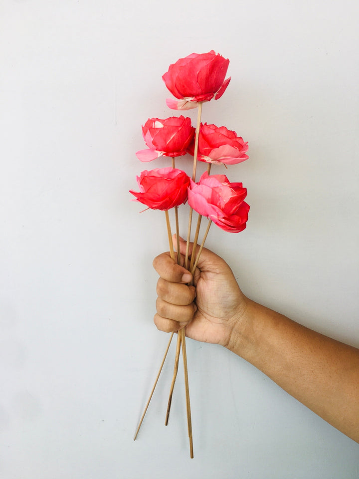 Ombre Sola Flower | 5pcs