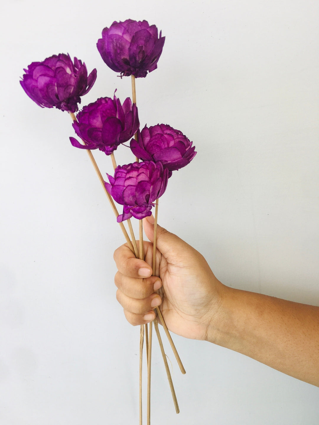 Ombre Sola Flower | 5pcs