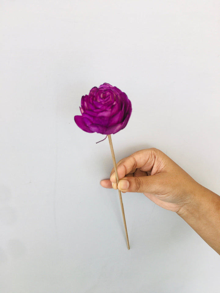 Ombre Sola Flower | 5pcs