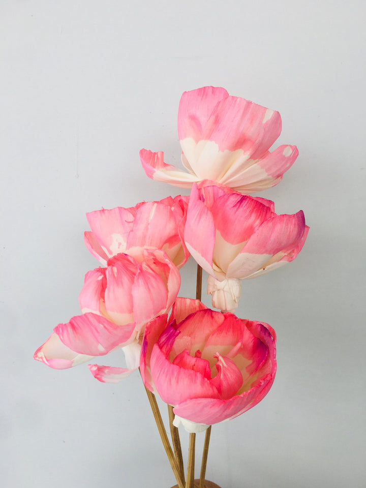 Barbie Pink Sola Flower | 5pcs Vanchai