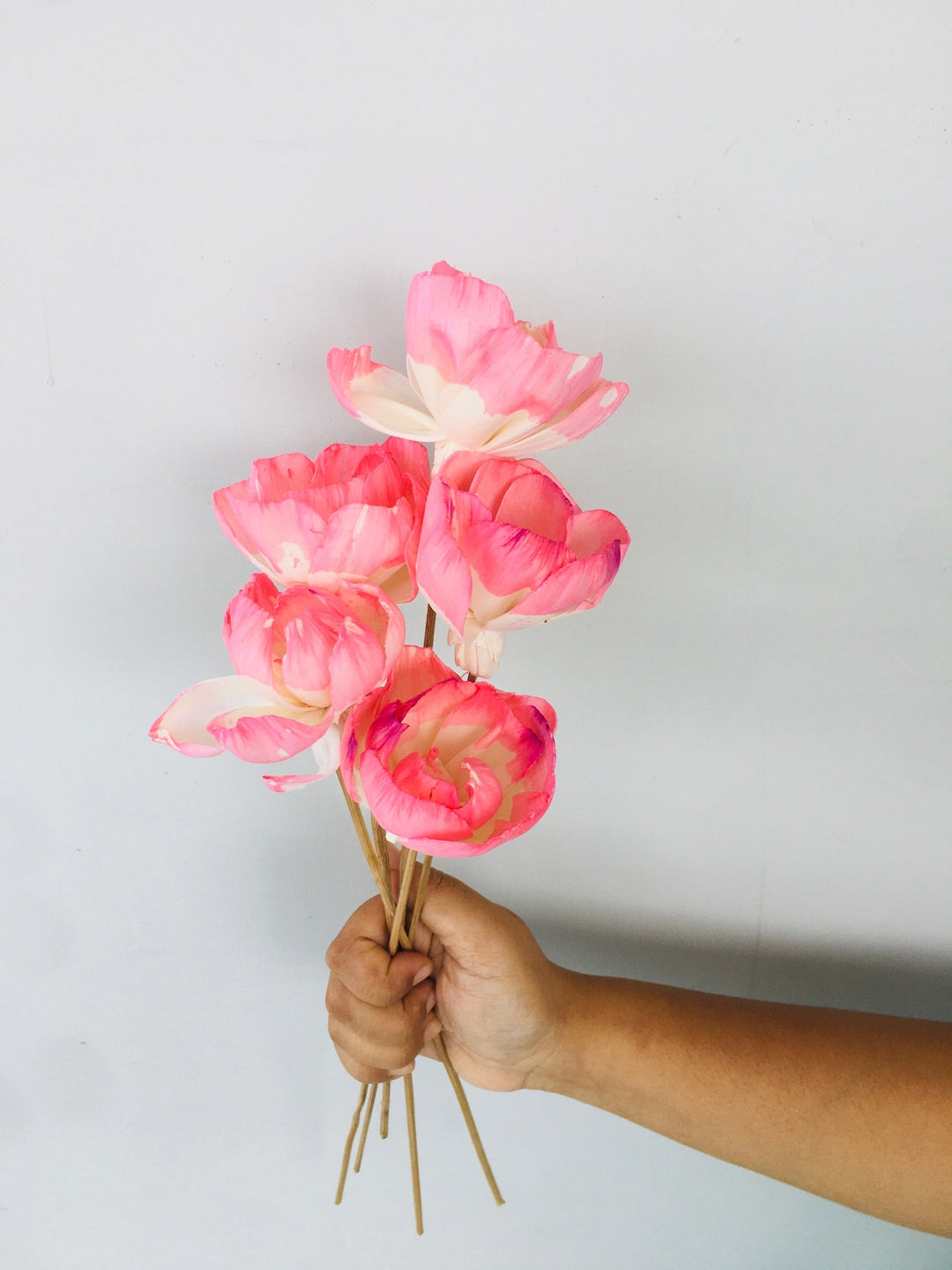 Barbie Pink Sola Flower | 5pcs Vanchai