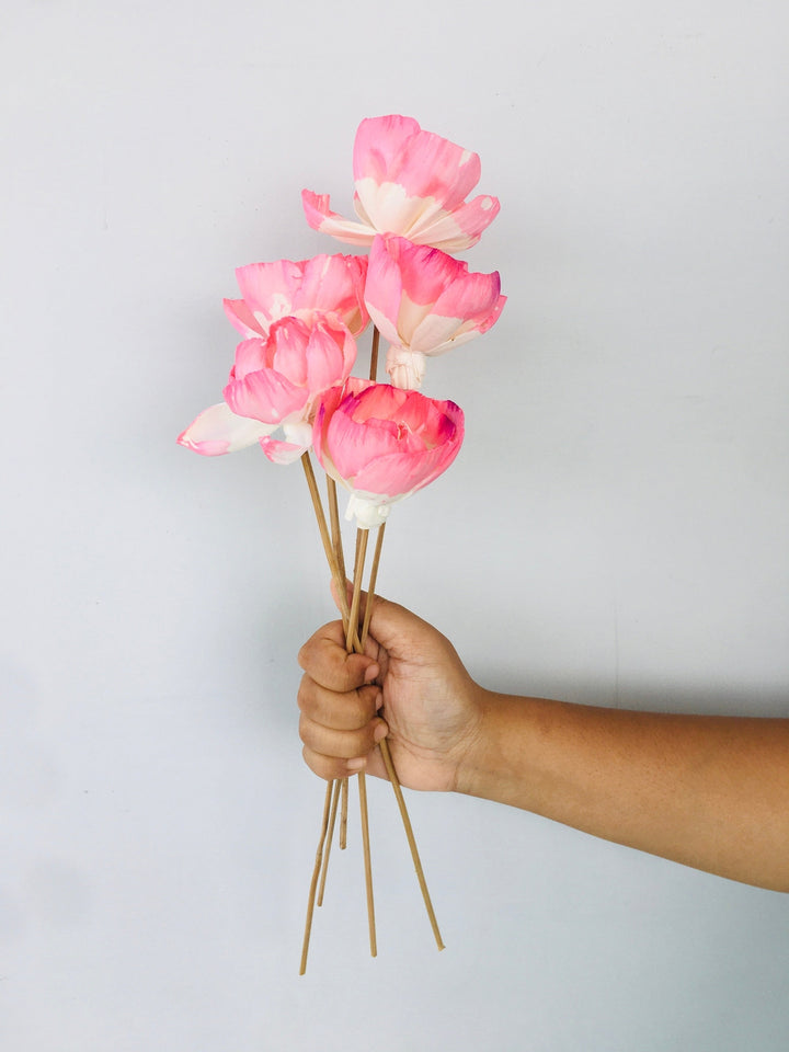 Barbie Pink Sola Flower | 5pcs Vanchai