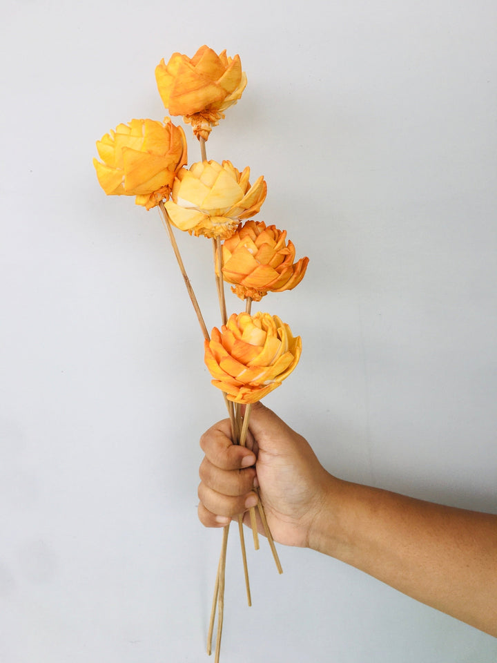 Ombre Sola Flower | 5pcs